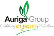 Auriga Group